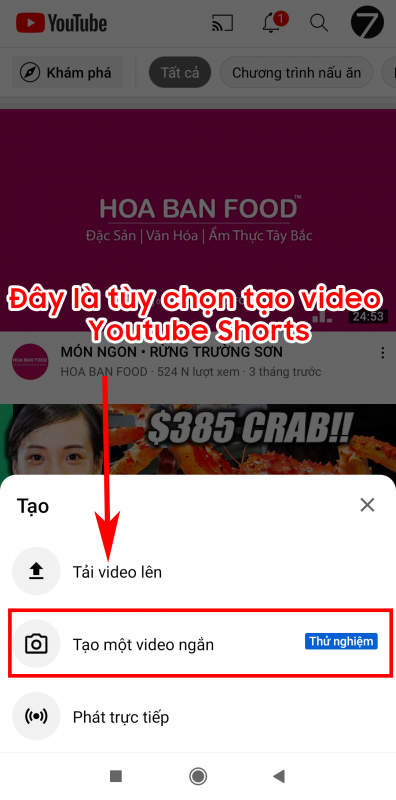 Marketing Youtube Shorts - The7