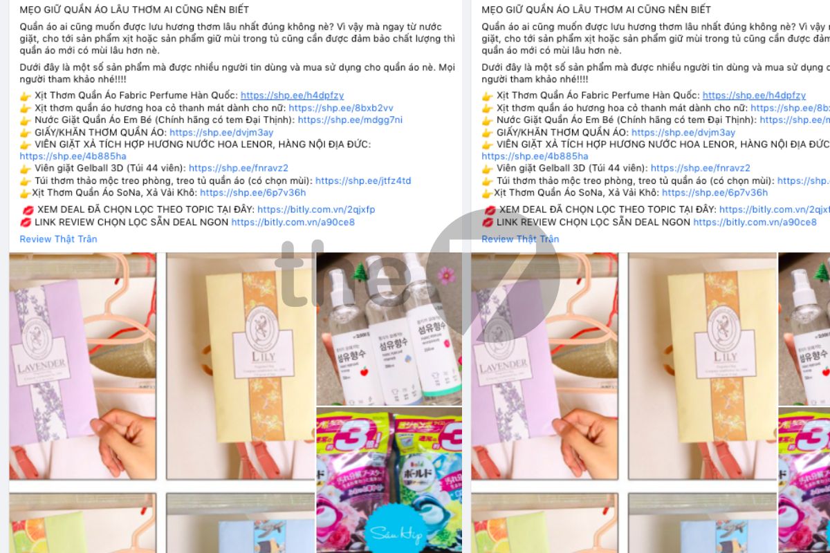 Nội dung cung cấp các thông tin hữu ích