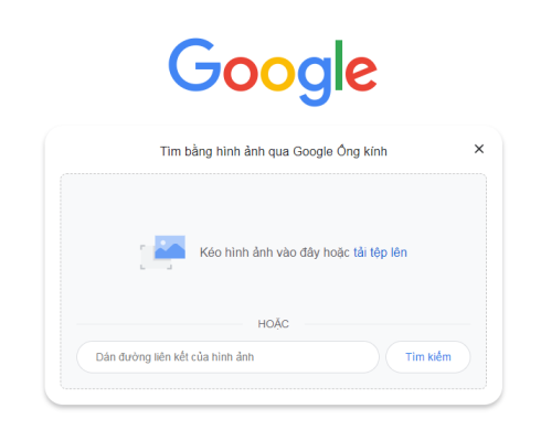 Xu Hướng tìm kiếm hình ảnh