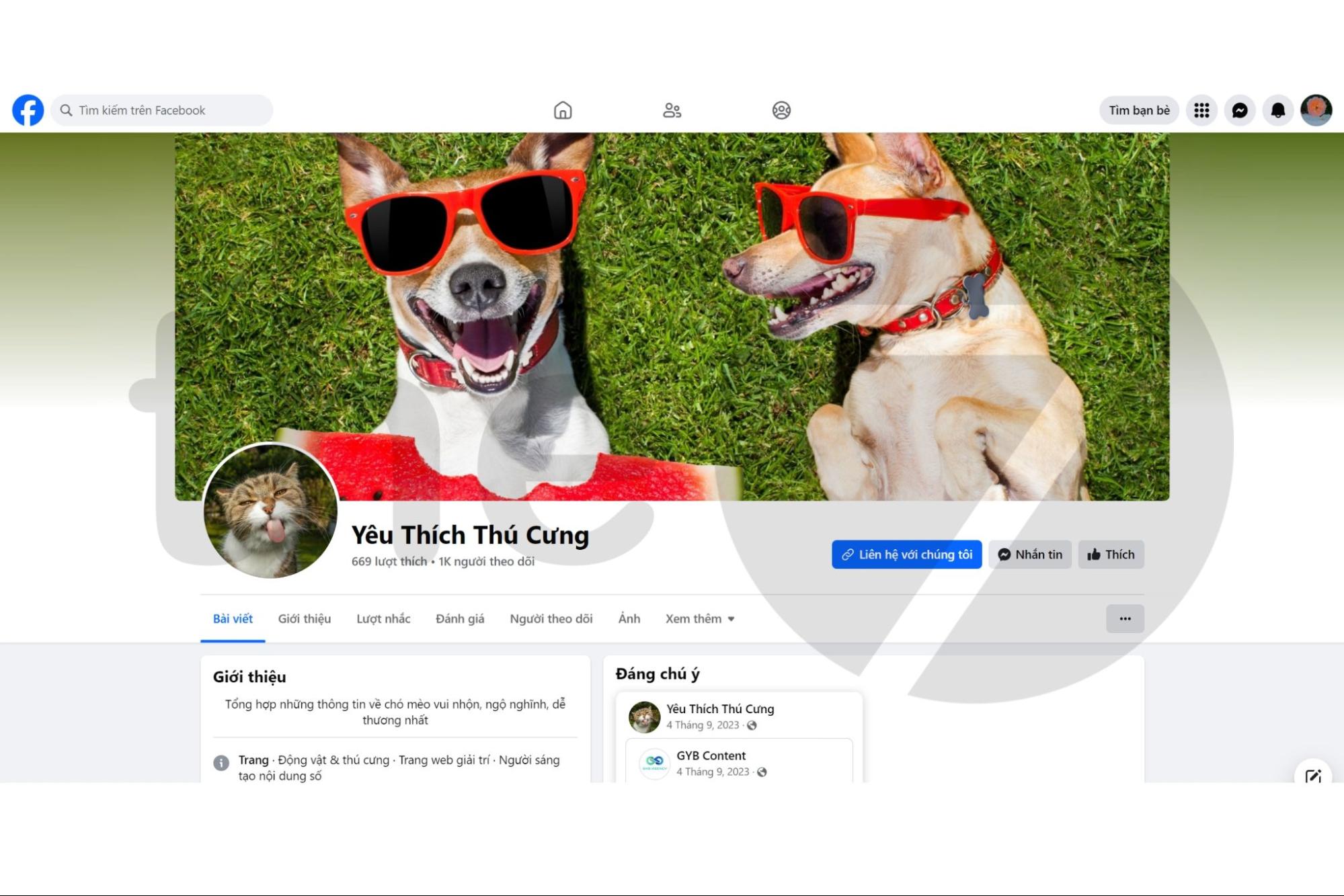 Tài khoản quảng cáo Facebook cá nhân