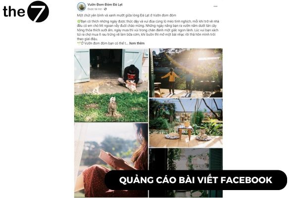 Quảng cáo bài viết Facebook