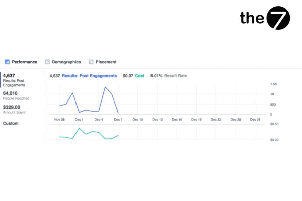 Biểu đồ tổng quan về Performance, Demographics và Placement