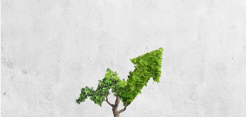 Phát triển bền vững và Trách nhiệm xã hội