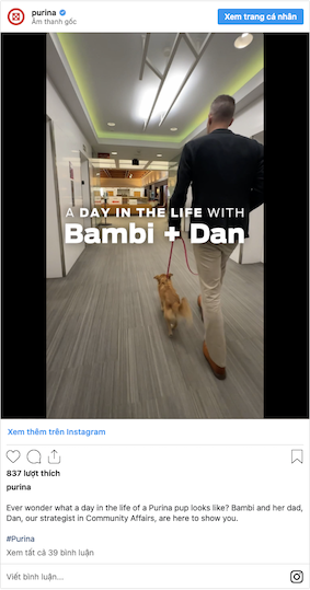 Instagram của Purina