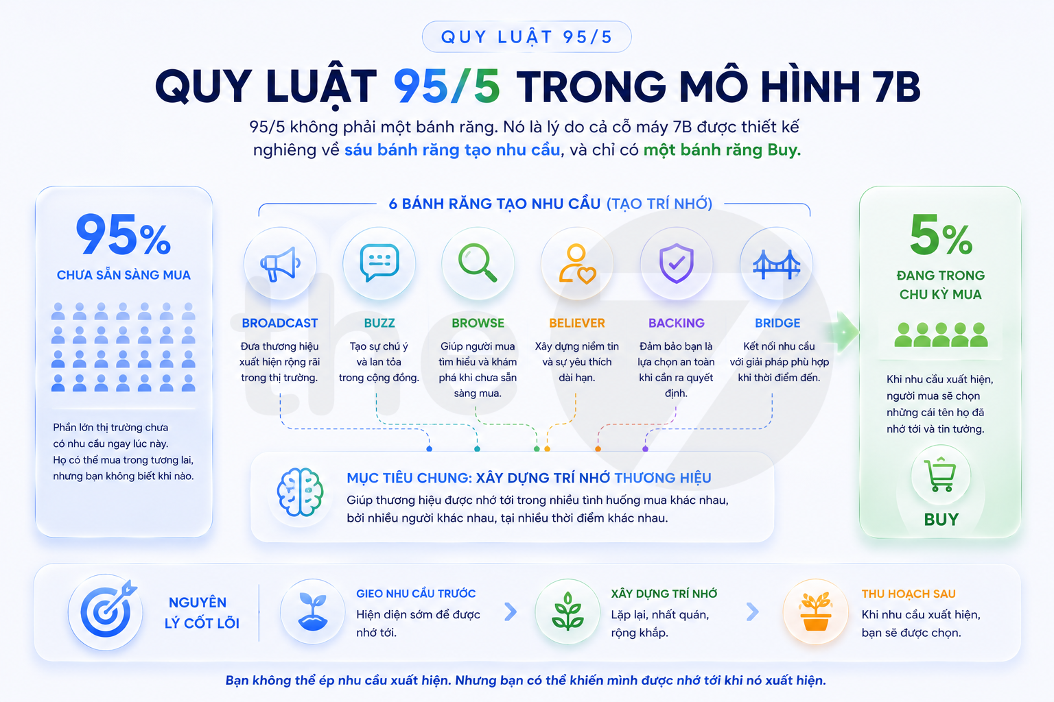 Quy luật 95/5 nằm ở đâu trong mô hình 7B?